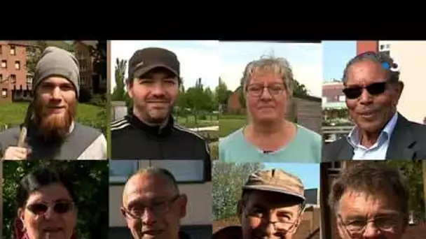 Les jardins populaires de Grande-Synthe