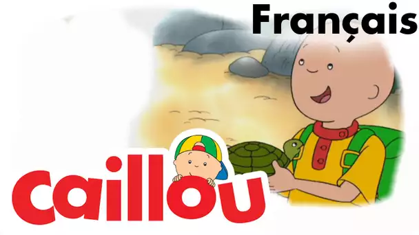 Caillou FRANÇAIS - L'action de grâce de Caillou (S02E09) | conte pour enfant | Caillou en Français