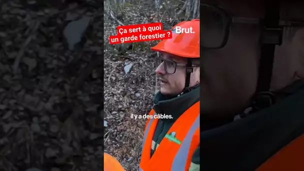 Le quotidien d'un garde forestier