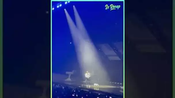 STROMAE FAIT TWERKER un CHIEN sur SCÈNE !