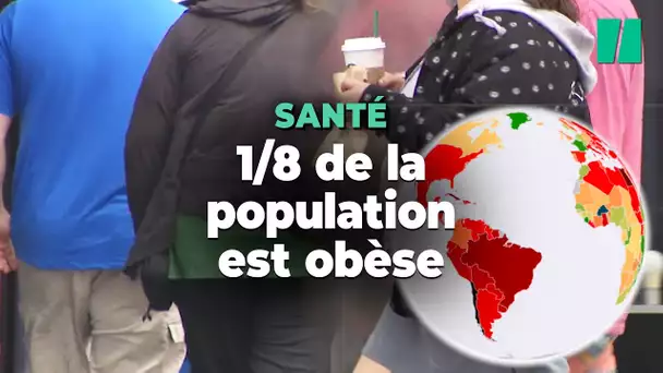 Plus d'un milliard de personnes dans le monde sont obèses