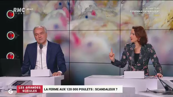 Barbara Lefebvre: "Quand on est sept milliards sur Terre, on ne mange pas de viande tous les jours!"