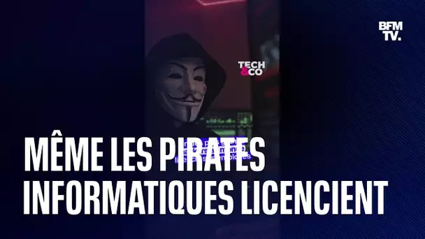 Un des plus grands hackers du monde licencie des employés à cause du manque de victimes