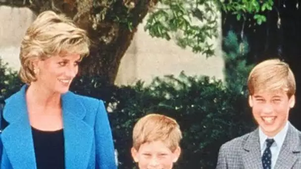 Diana : le paradis où elle se réfugiait avec William et Harry est à vendre