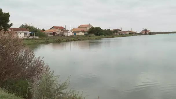 Hérault : Les cabaniers des Aresquiers ne seront pas expulsés