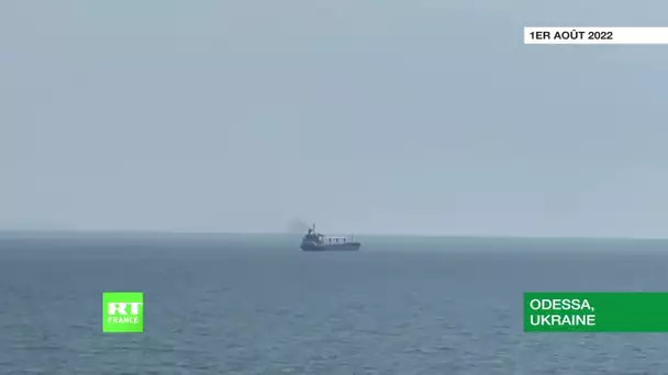 Ukraine : le premier navire transportant des céréales quitte Odessa après un accord historique