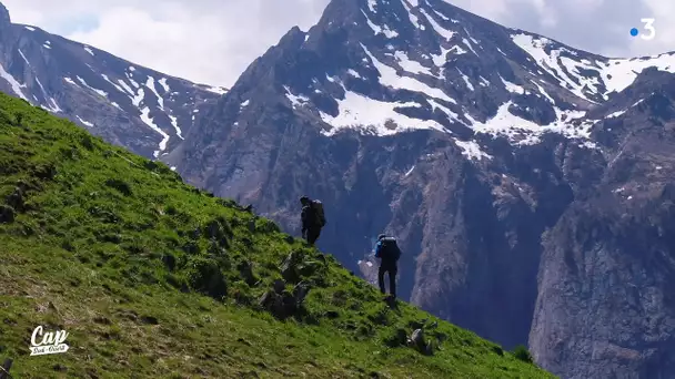 Cap Sud Ouest Parc National des Pyrénées - bouquetins