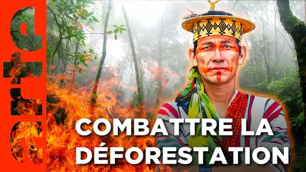 Brésil, replanter l'Amazonie | Gardiens de la forêt | ARTE