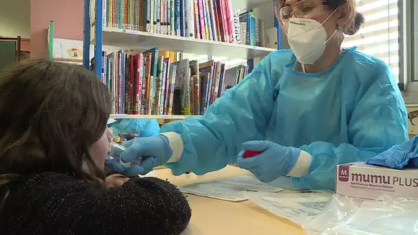 Covid : la campagne de dépistages salivaires dans les écoles débute mardi, qui est concerné ?