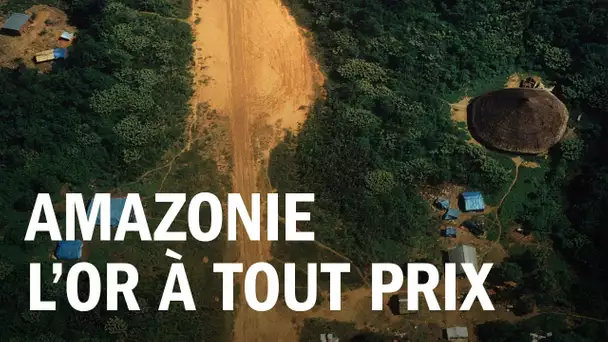 Amazonie, l'or à tout prix