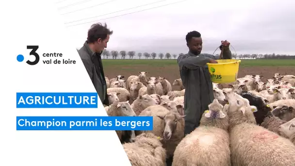 Agriculture : portrait de Moussa Sissoko; après avoir fui le Mali il élève aujourd'hui des moutons