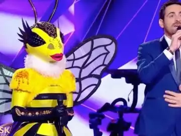 Mask Singer  découvrez la personnalité qui se cachait sous le costume d'abeille