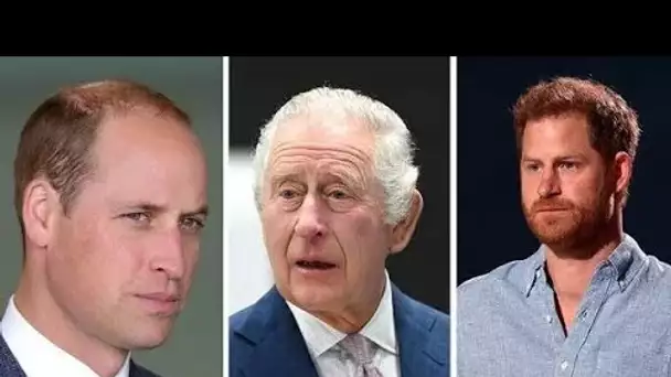Le dilemme du couronnement de Harry pourrait "menacer" le lien de Charles et William avec un risque
