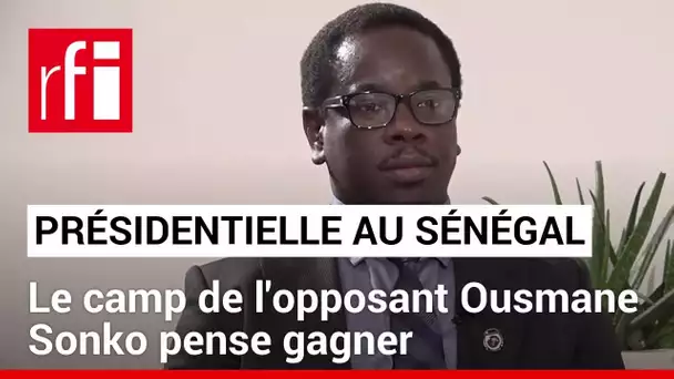 Sénégal - Présidentielle : le camp d’Ousmane Sonko pense gagner avec 71% des voix • RFI