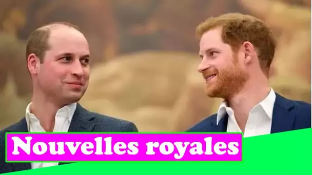 Le prince Harry " arrogant " sauvagement après avoir affirmé que le duc " veut assister " à la fête