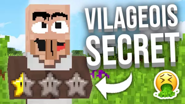 LES VILLAGEOIS CACHÉS DE MINECRAFT...