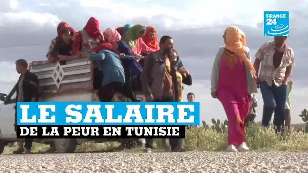 Reportage France 24 : en Tunisie, le difficile trajet des ouvrières