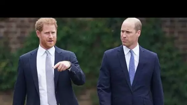 Prince William et Harry : violent affrontement