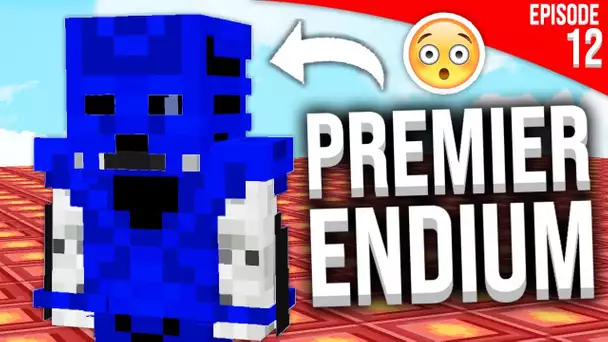 MON PREMIER ITEM EN ENDIUM ?! ! - Episode 12 | Paladium S6