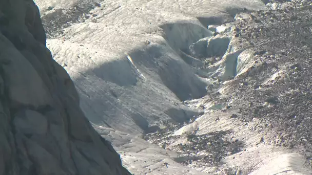 Chamonix : la Mer de glace en danger de disparition