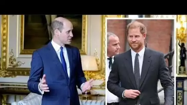 Le prince William "a l'air pointu" dans un nouveau costume que lui seul est autorisé à porter et non