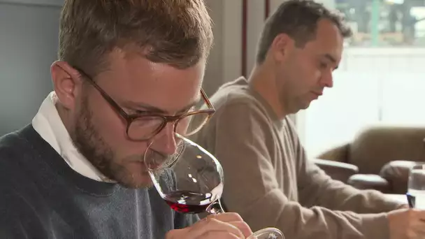 Dégustation de vins bio, biodynamique et natures de cépage Pinot Noir. ABE-RTS