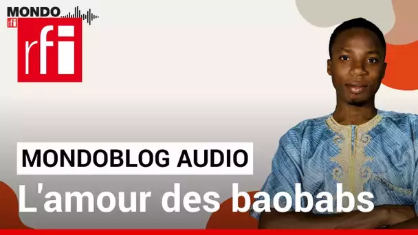 L'amour des baobabs • Mondoblog Audio • RFI