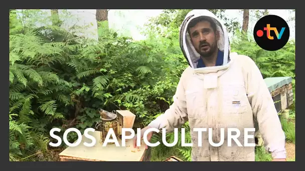 La filière apiculture en difficulté après les intempéries