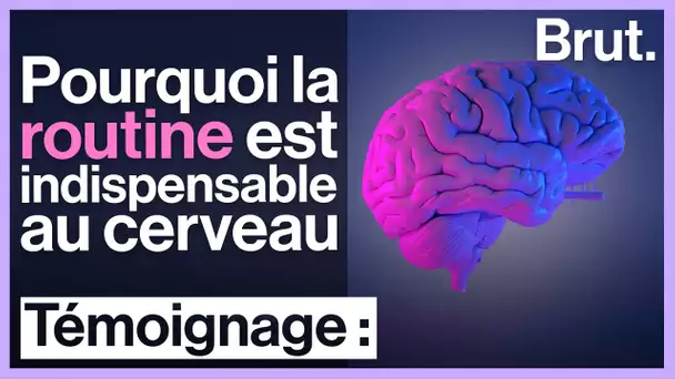 Pourquoi votre cerveau a besoin de routine