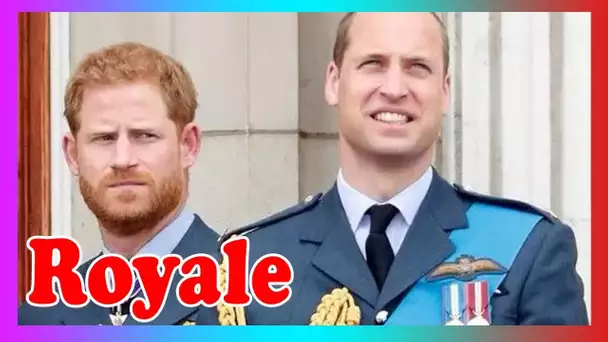 Les tensions entre le prince Harry et William ont commencé avant Meghan Markle, selon les exp3rts