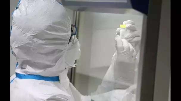 Le coronavirus scruté à l'institut Pasteur : « on reçoit 10 échantillons par jour »