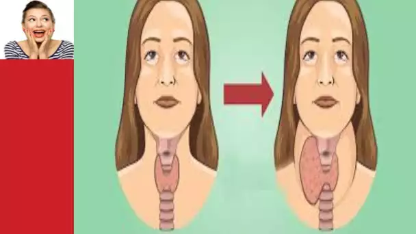 Attention : Éviter Ces 5 Mauvaises habitudes Qui détruisent votre thyroïde