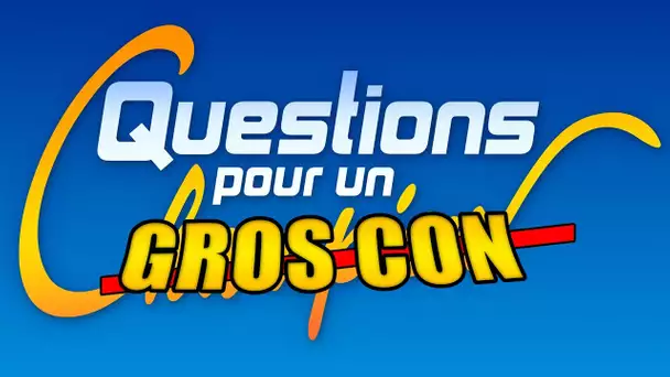 QUESTIONS POUR UN GROS CON