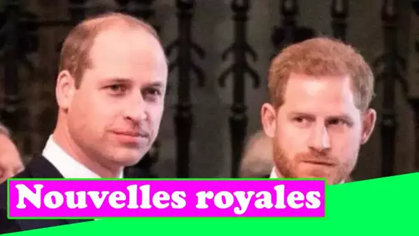 Le chagrin du prince Harry car il « ne peut pas réparer sa relation » avec William avant les retrouv