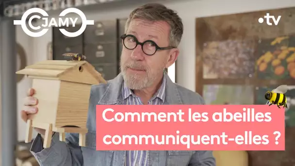 COMMUNICATION ABEILLE YOUTUBE