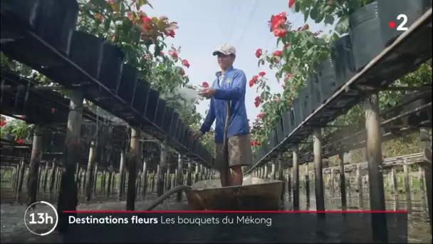 Destination fleurs : Les bouquets du Mékong