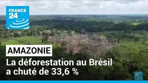 La déforestation de l'Amazonie au Brésil a baissé d'un tiers au premier semestre • FRANCE 24