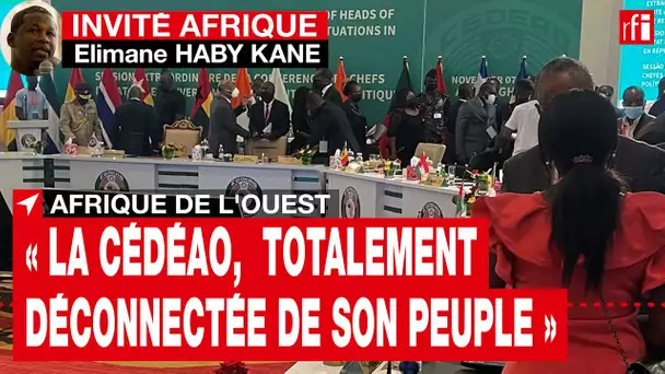Elimane Haby Kane : « La Cédéao est totalement déconnectée de son peuple » • RFI