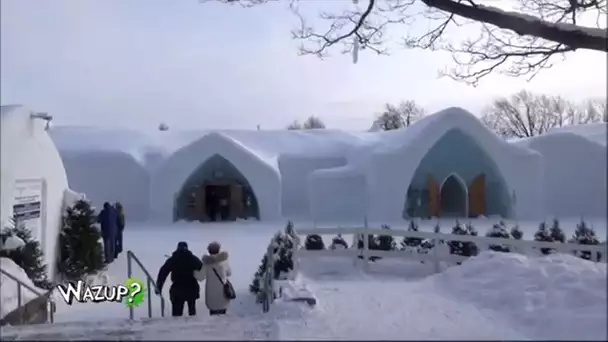 Bienvenue dans un Hôtel fait de glace - Wazup, une émission Gulli !