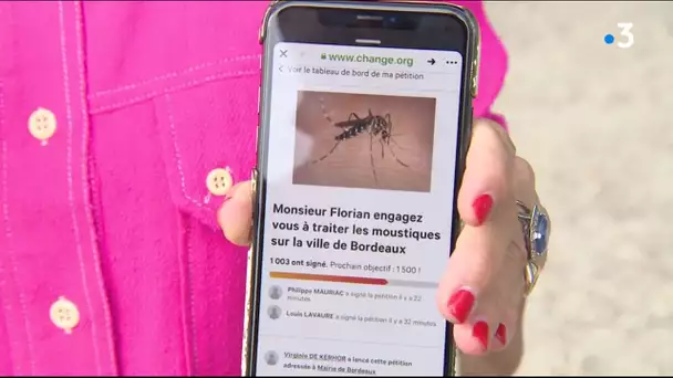 Pétition contre la prolifération des moustiques à Bordeaux
