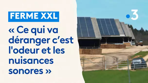 Ferme aux 3000 vaches en Haute-Vienne. "il est hors de question de dégrader un environnement"