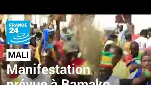 Mali : manifestation prévue à Bamako contre la Minusma • FRANCE 24