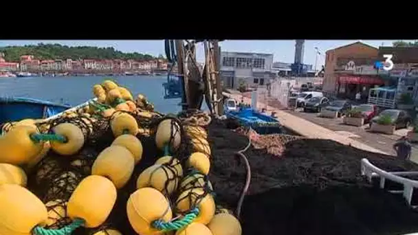 Les thoniers de Port-Vendres se préparent pour la campagne de pêche 2018