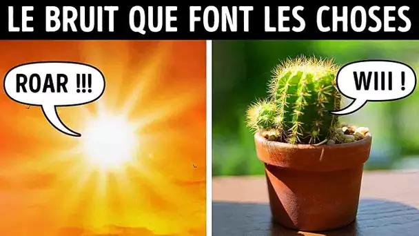 Ton Cactus te Crie Dessus + d’Autres Sons que tu n’Entends Pas