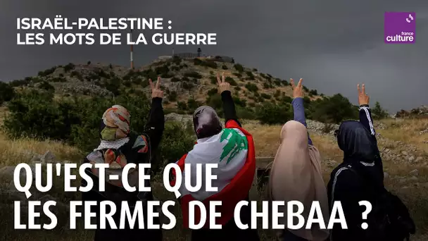 Les fermes de Chebaa, un territoire contesté  | Israël-Palestine, les mots de la guerre
