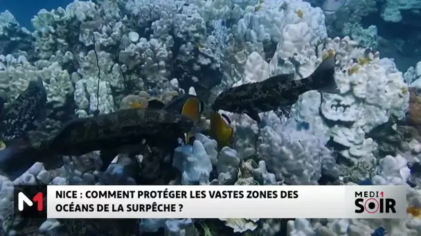 Nice : Comment protéger les vastes zones des océans de la surpêche ?
