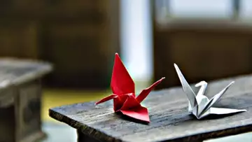 Un serveur japonais expose les origamis réalisés par ses clients