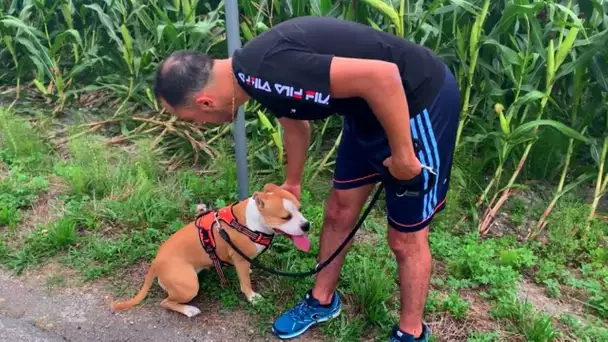 Je fais MON ENTRAINEMENT avec NALA .. Elle va vous CHOQUER !