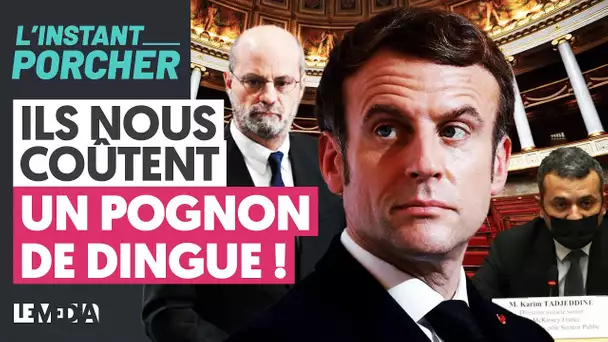 MC KINSEY ET COMPAGNIE : CES COPAINS DE MACRON QUI NOUS COÛTENT UN POGNON DE DINGUE