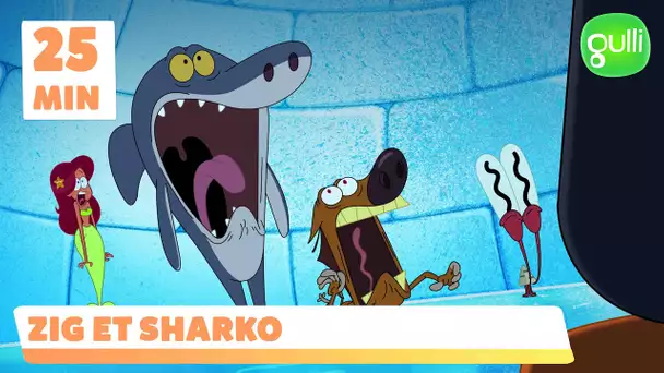 Zig et Sharko - Compilation de l'hiver (S03E13 - S03E14 - S01E37)